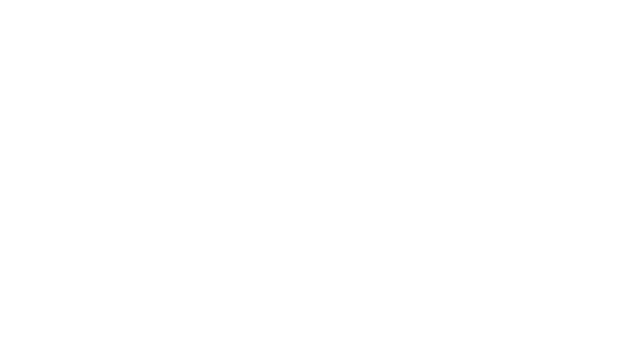 世界の遺産 “やんばるの森” でジップライン